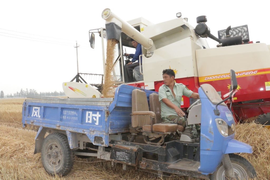 jxf吉祥坊(中国)官方网站